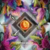 Alex Serra & Totidub - Outter Space - Bring Back the Feelling (Totidub Remix) - Single